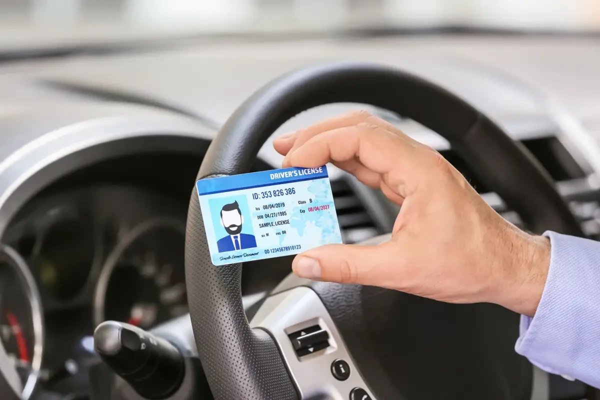 Driving Licence