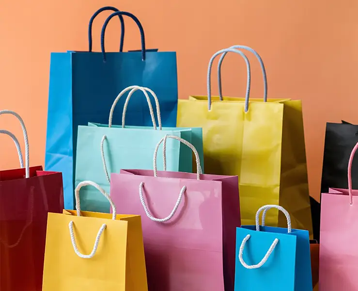 Bristol Bags