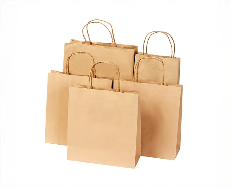 Kraft Bags